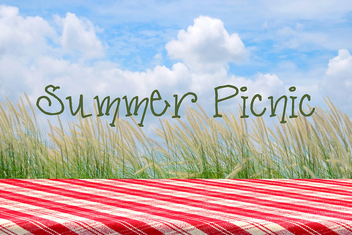 SUMMER PICNIC